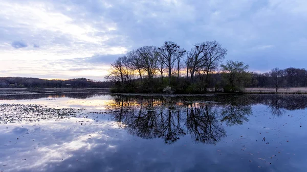 Petite Île Milieu Lac Avec Silhouette Arbres Nids Oiseaux — Photo