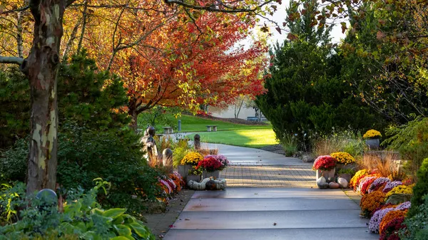 Kleurrijke Moeders Herfstbomen Schilderachtige Steegjes Frederik Meijer Tuinen Grand Rapids — Stockfoto