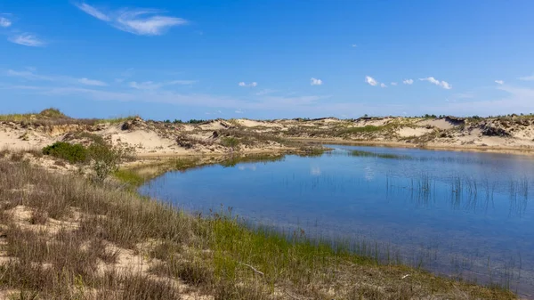 Blauwe Watervijver Het Midden Van Zandduinen Bedekt Met Duingras Bij — Stockfoto