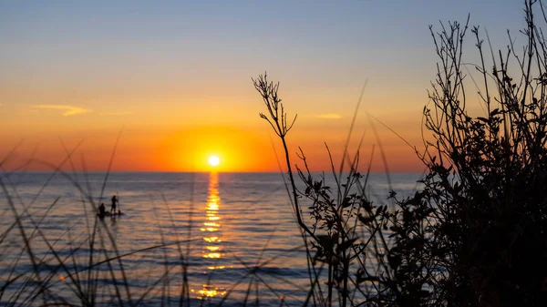 Vilda Sanddyn Växter Förgrunden Med Solnedgång Över Sjön Michigan Bakgrunden — Stockfoto