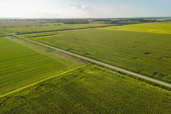 ミシガン州の大豆畑の空中風景 — ストック写真
