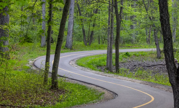Tall Trees Winding Bike Path Michigan Countryside — 图库照片