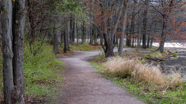 Scenic Woodland Walking Trail Rural Michigan — 图库照片