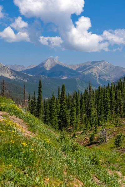 Paisaje Rocoso Escénico Colorado Con Picos Montaña Árboles Coníferas Flores —  Fotos de Stock