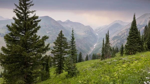 Scenic Purple Mountain Landschap Colorado Tijdens Zomer — Stockfoto