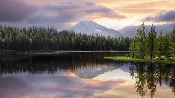 Paysage Pittoresque Lac Théière Dans Forêt Nationale Wasatch Soirée Arbres — Photo