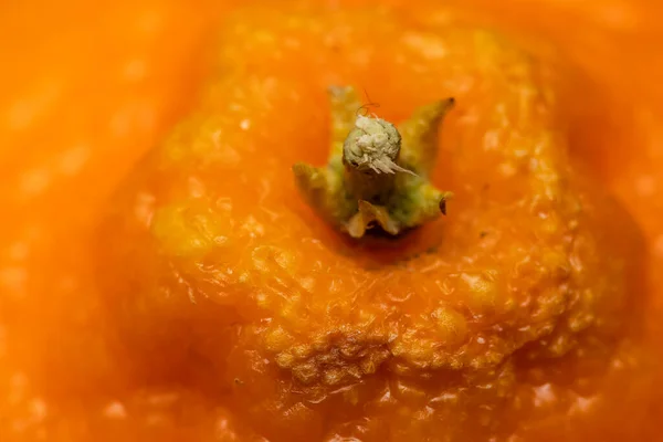 Extrême Gros Plan Extrémité Queue Fruit Orange — Photo