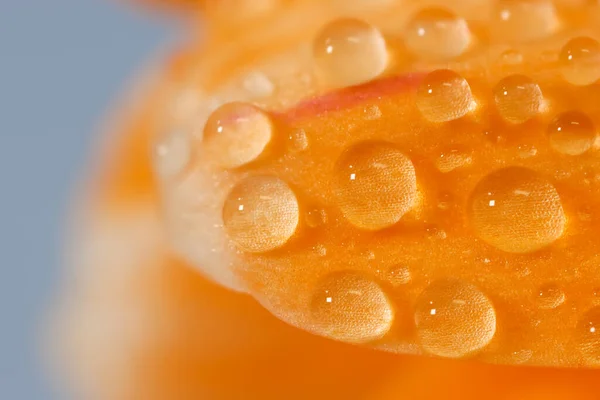 Extremo Plano Plano Pétalo Flor Margarita Con Gotitas Agua — Foto de Stock