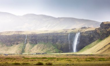 Güney İzlanda 'ya Seljalandsfoss manzaralı su düşüyor