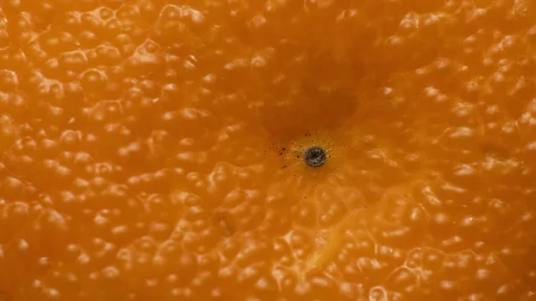 Colpo Estremo Vicino Buccia Frutta Arancione — Foto Stock