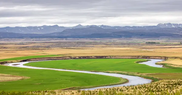 Hvita River Flowing Fields Meadows Iceland Countryside — Stock Photo, Image