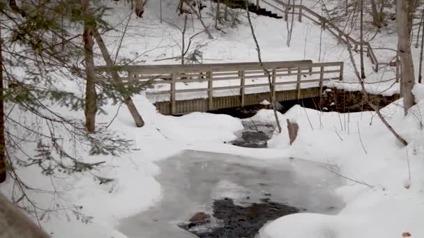 Holzbrücke Über Den Schneebedeckten Wagner Bach Auf Der Oberen Halbinsel — Stockvideo