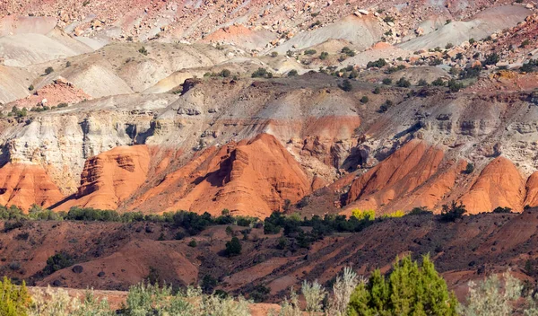 Vörös Homokkő Rock Szín Harmónia Capitol Zátony Nemzeti Park Utah — Stock Fotó