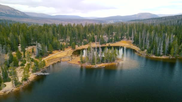 Вид Воздуха Живописное Озеро Зеркало Национальном Лесу Уинта Васатч Штате — стоковое видео