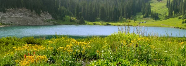 Панорама Лісового Лука Озера Емеральд Скелястих Горах Колорадо — стокове фото