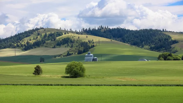 Gegolfde Metalen Schuur Midden Glooiende Heuvels Van Palouse Washington — Stockfoto