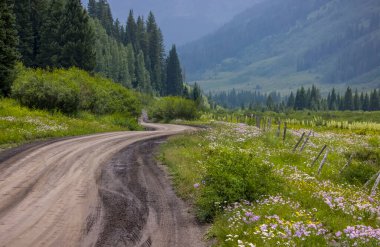 Colorado 'daki yaban çiçeği çayırlarından geçen 734 numaralı arka yol. Tepe Butte yakınlarındaki Rocky Dağları.