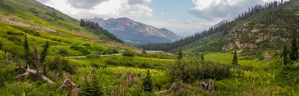 Panoramaudsigt Wildflower Enge Colorado Klippefyldte Bjerge Nær Crested Butte - Stock-foto