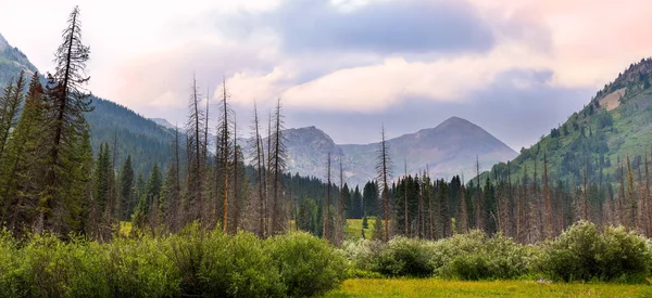 Die Malerische Landschaft Des Purpurberges Colorado Während Der Sommerzeit Hohe — Stockfoto