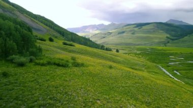 Colorado 'daki Crested Butte yakınlarında, Brush Creek vadisinde kır çiçekleriyle dolu bir dağ yamacı..