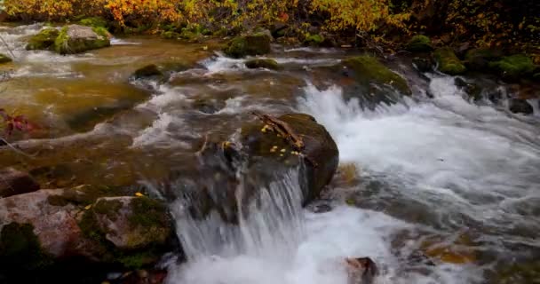 Pequenas Cachoeiras Big Cottonwood Creek Utah Durante Outono Tempo Relaxamento — Vídeo de Stock