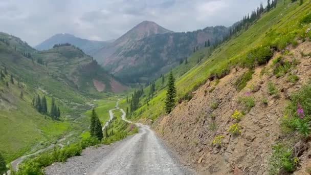 Valle Panoramica Colorado Montagne Rocciose Lungo Sentiero Lupine Vicino Crested — Video Stock
