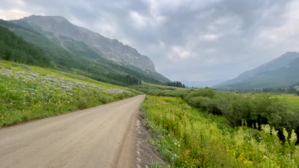 Scenic View Gothic Road Wildflower Meadows White Rock Mountain Gothic — Stock Video
