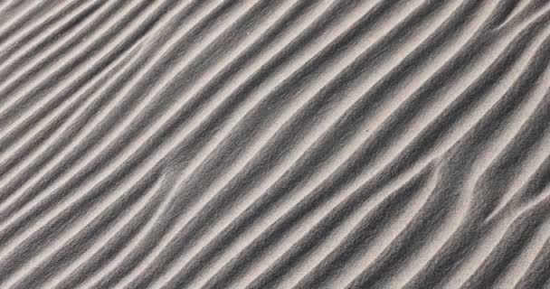 Golvend Zandpatroon Mesquite Sand Duinen Death Valley National Park Californië — Stockvideo