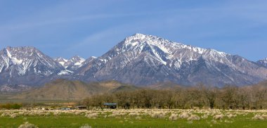 Karla kaplı Doğu Sierra dağları Bishop, California yakınlarında