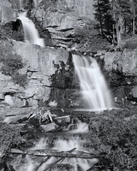 加拿大贾斯珀国家公园的单色小河瀑布 — 图库照片