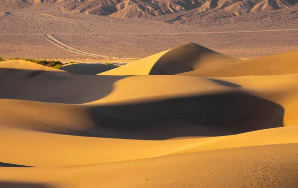 Mesquite Kum Tepeleri Ölüm Vadisi Ulusal Parkı 'nda akşam güneşi altında.