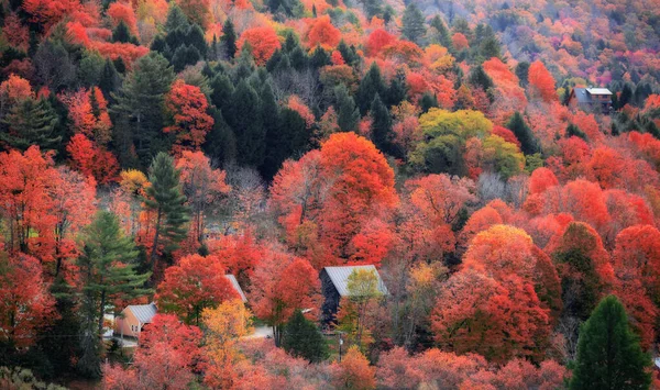 佛蒙特州谷仓的风景秀丽 周围环绕着五彩缤纷的落叶 — 图库照片