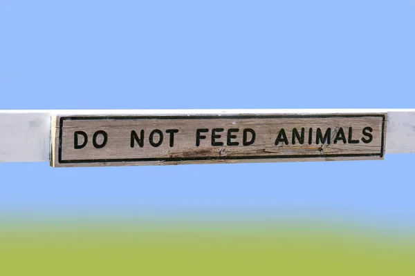 Feed Animals Board Isolated Gradient Background — Stock Photo, Image