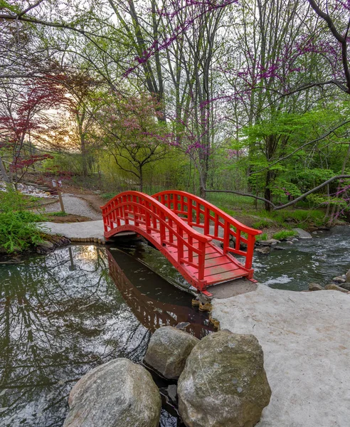 Vörös Japán Stílusú Híd Cranbrook Kertek Michigan Lövés Tavasszal — Stock Fotó