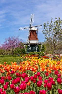 Hollanda, Michigan - 13 Mayıs 2022 Hollanda stili Windmill Island Gardens, Michigan