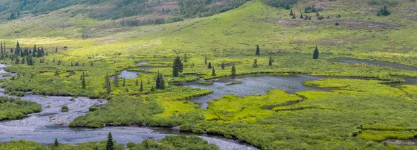 Paisaje Fluvial Pizarra Campo Colorado Durante Verano — Foto de Stock