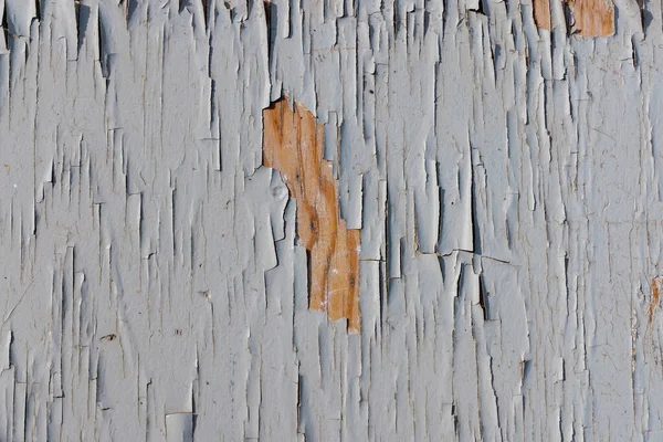带衬底漆皮的湿木 — 图库照片