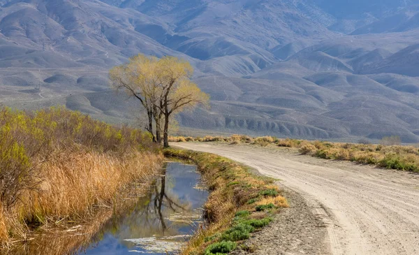 Paisaje Escénico Del Valle Owens California — Foto de Stock