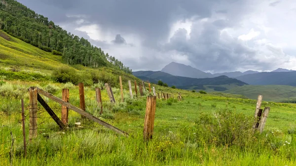 Scenic Landscape Rocky Mountains Wild Flower Meadows Colorado Countryside — Stock Photo, Image