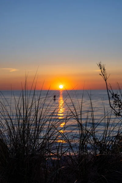 Wilde Dünenpflanzen Vordergrund Mit Sonnenuntergang Über Dem Michigansee Hintergrund — Stockfoto