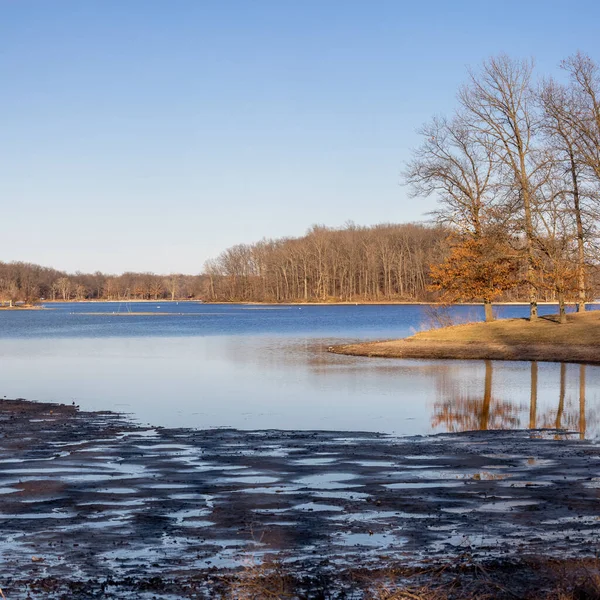 Kensington Metro Park Krajina Michiganu Vysoké Stromy Osvětlené Večerním Slunci — Stock fotografie