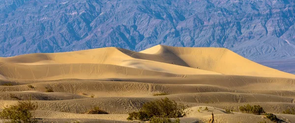 Panoramic View Mesquite Sand Dunes Death Valley National Park Evening — Stock Photo, Image
