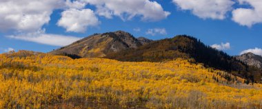 Panoramic view of mountain peaks in Wasatch mountain state park surrounded with fall foliage.