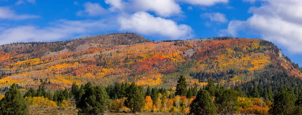 Panoramic View Mountains Colorful Foliage Uinta Wasatch Cache National Forest — Stockfoto