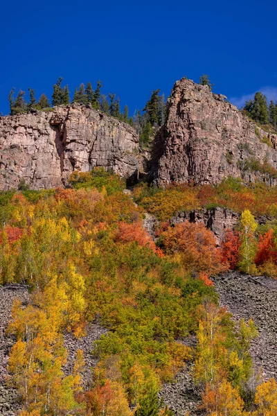 Colorful Fall Foliage Mountain Slopes Uinta Wasatch Cache National Forest — Foto Stock