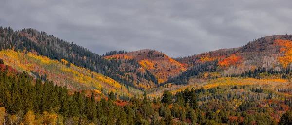 Panoramic View Mountains Colorful Foliage Uinta Wasatch Cache National Forest — Foto de Stock
