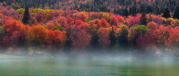 Πανοραμική Θέα Του Φυλλώματος Πτώση Γύρω Από Λίμνη Maple Στην — Φωτογραφία Αρχείου