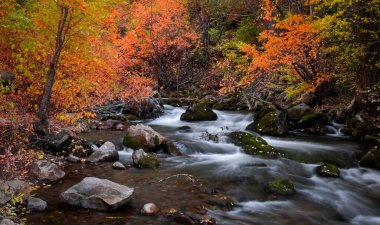 Running water at Big Cottonwood creek during autumn time, Long exposure shot.