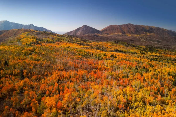 Aerial View Bright Fall Foliage Nebo Loop Utah —  Fotos de Stock