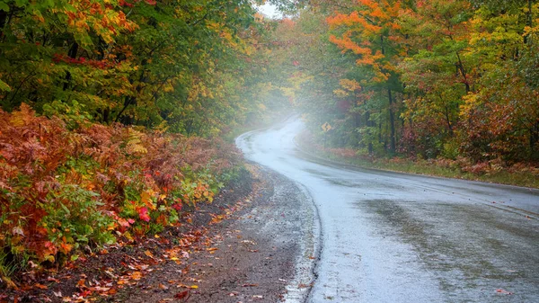 Scenic Tunnel Trees Highway Michigan Early Autumn Time — Fotografia de Stock